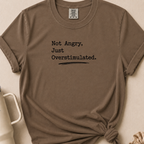 Not Angry Just Overstimulated T-shirt