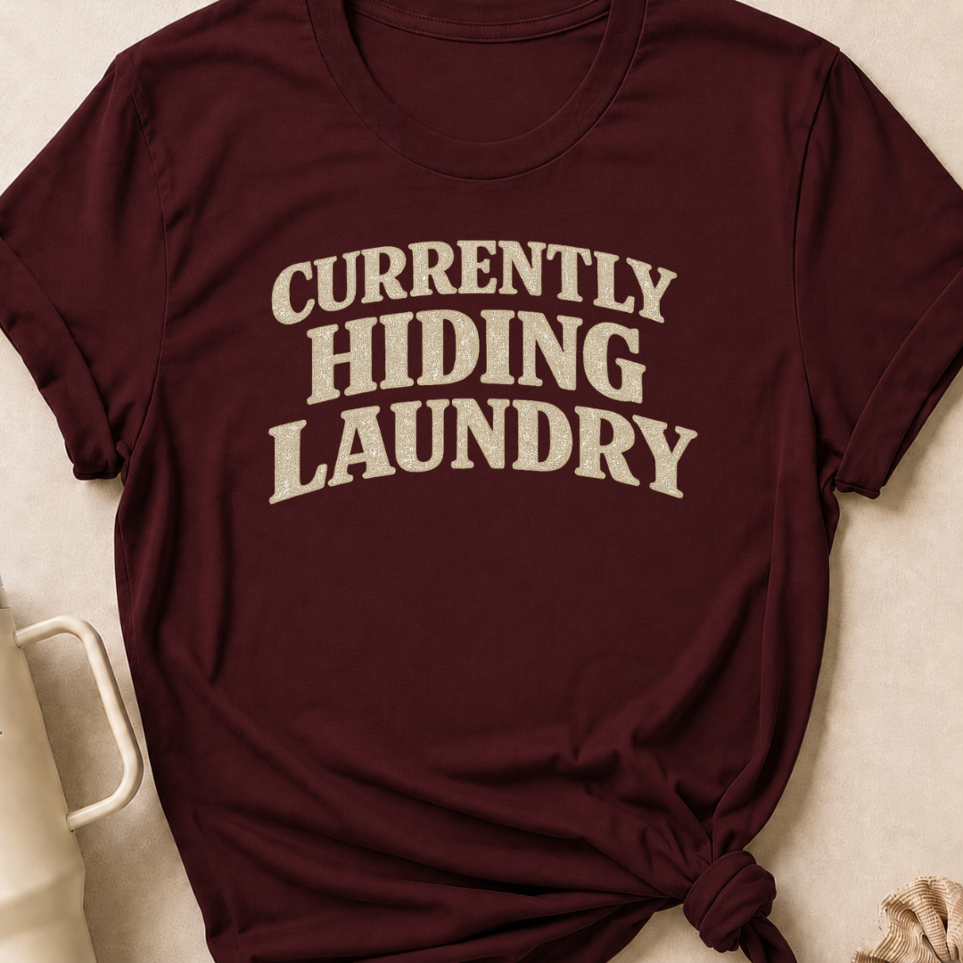 Currently Hiding Laundry T-Shirt